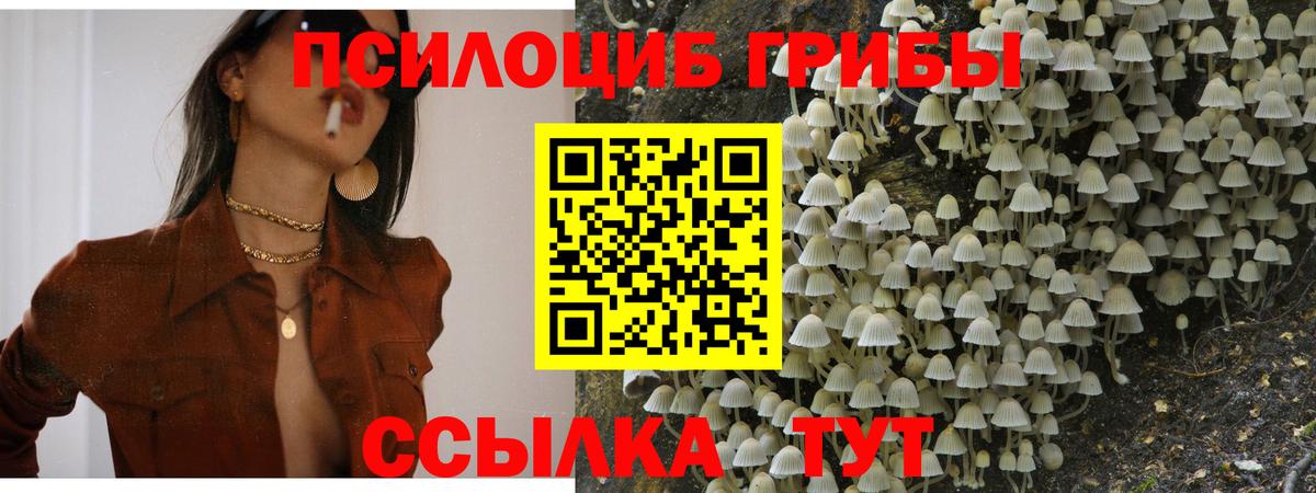 Псилоцибиновые грибы GOLDEN TEACHER  где можно купить наркотик  Галлюциногенные грибы прущие грибы  Полевской  Вход с VPN 